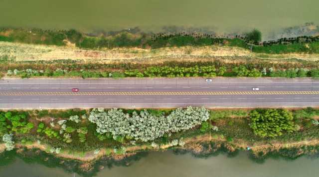 新华全媒+丨“塞上湖城”银川：湿地生态好 候鸟纷纷来