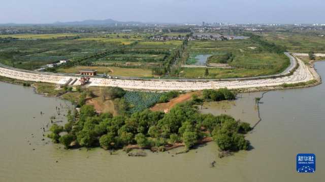 大美湿地城市丨合肥