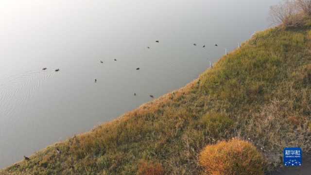 大美湿地城市丨合肥