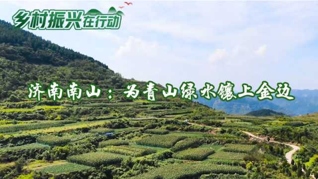 乡村振兴在行动 | 济南南山：为青山绿水镶上金边