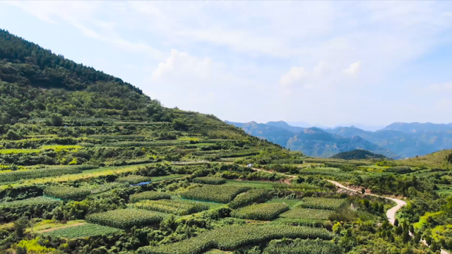 乡村振兴在行动 | 济南南山：为青山绿水镶上金边