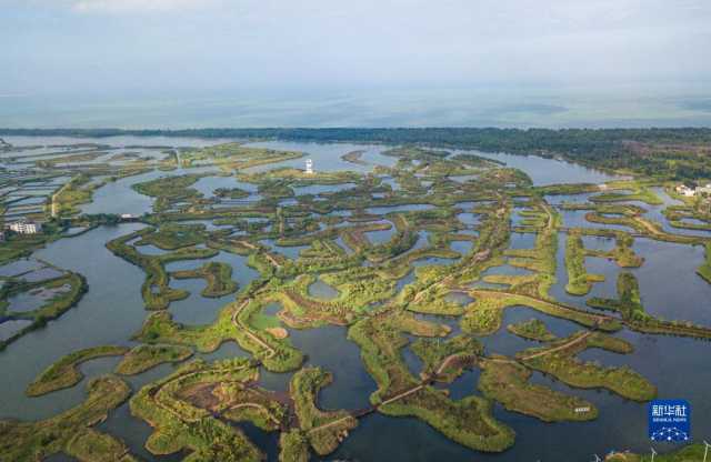 大美湿地城市丨海口