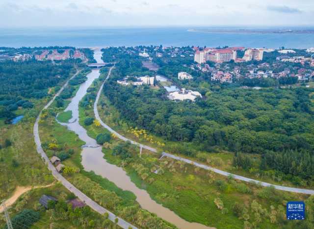 大美湿地城市丨海口