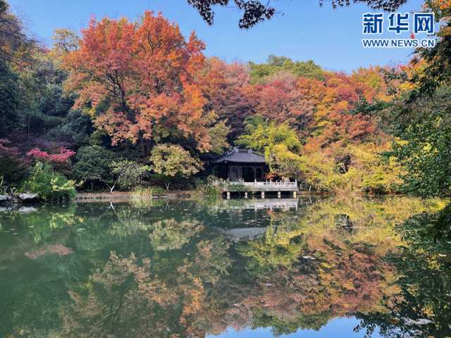 【“飞阅”中国】层林尽染 栖霞胜景宛若彩绘