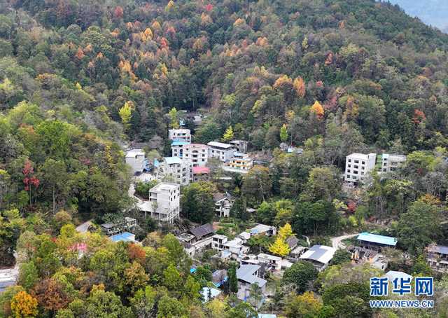 【“飞阅”中国】彩林如画云海翻滚 瞰武陵山乡大美冬韵