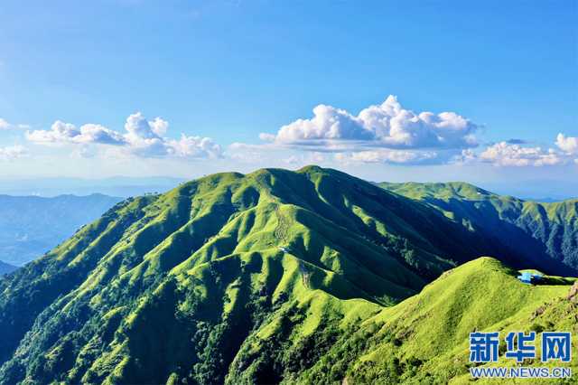 【“飞阅”中国】邂逅武功山“天然氧吧” 畅快“森”呼吸