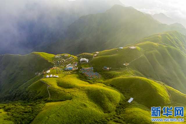 【“飞阅”中国】邂逅武功山“天然氧吧” 畅快“森”呼吸