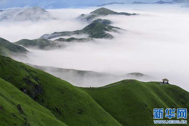 【“飞阅”中国】邂逅武功山“天然氧吧” 畅快“森”呼吸