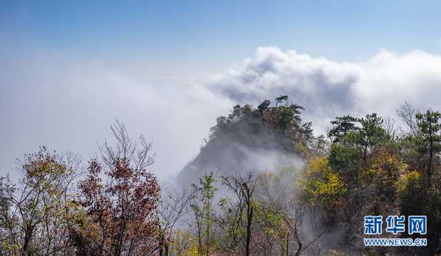 【“飞阅”中国】初冬大别山 云霞映松尖