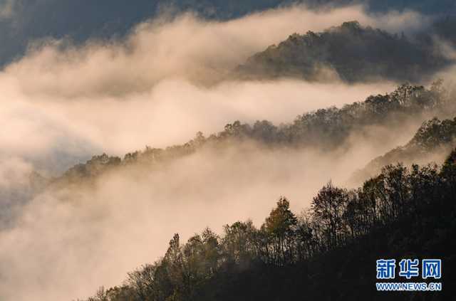 【“飞阅”中国】初冬大别山 云霞映松尖