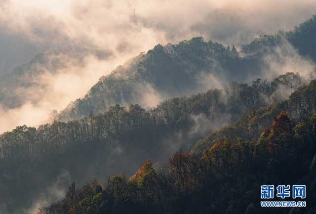 【“飞阅”中国】初冬大别山 云霞映松尖