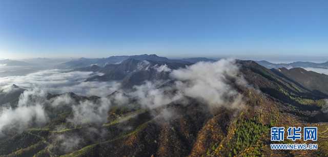 【“飞阅”中国】初冬大别山 云霞映松尖