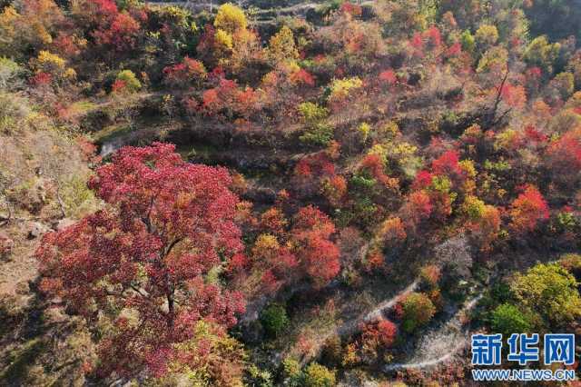 【“飞阅”中国】江西浮梁：初冬山村 色彩斑斓