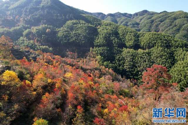 【“飞阅”中国】江西浮梁：初冬山村 色彩斑斓