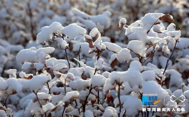 【“飞阅”中国】甘肃民乐迎降雪