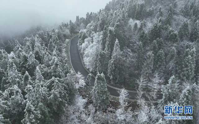 【“飞阅”中国】树挂冰晶山披玉衣 重庆“森林氧吧”加载雾凇美景