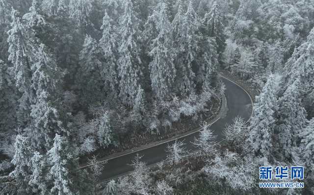 【“飞阅”中国】树挂冰晶山披玉衣 重庆“森林氧吧”加载雾凇美景