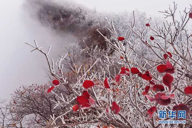 【“飞阅”中国】雪落三峡 山河如画