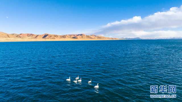 【“飞阅”中国】冬格措纳湖冬景 空灵幽远如梦境