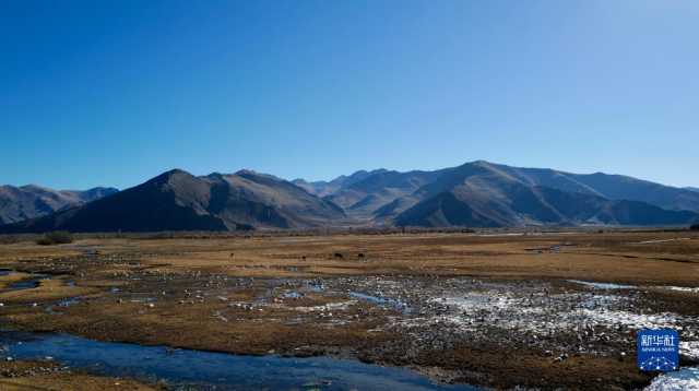 拉萨唐嘎湿地：珍稀鸟类的冬季乐园