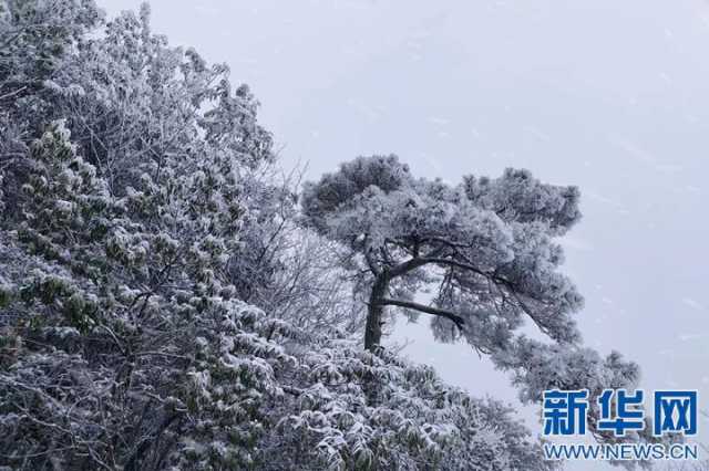 【“飞阅”中国】沉浸式赏雪 江西武功山初雪如约而至