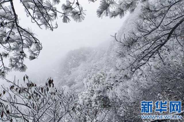 【“飞阅”中国】沉浸式赏雪 江西武功山初雪如约而至