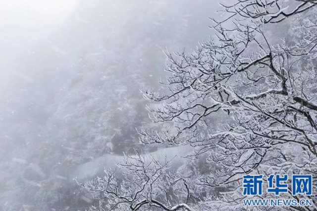 【“飞阅”中国】沉浸式赏雪 江西武功山初雪如约而至