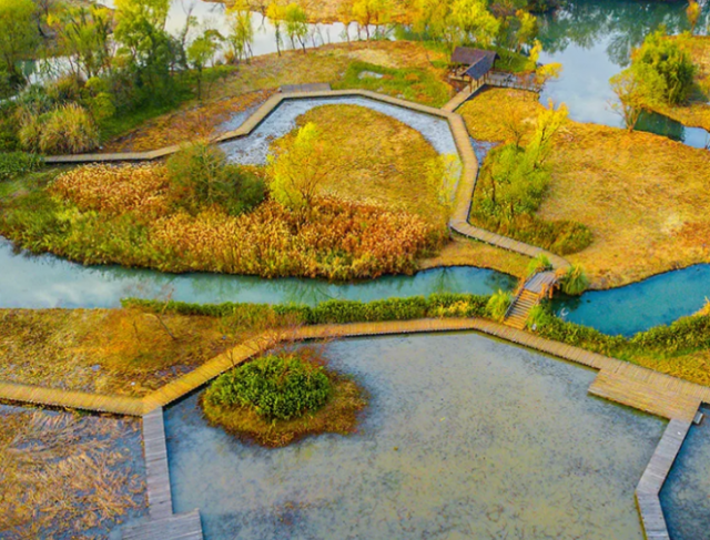 立法治根基 护湿地之美