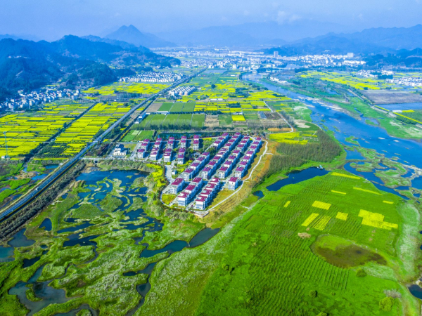 浙江十条措施助力经济稳进提质，试点推