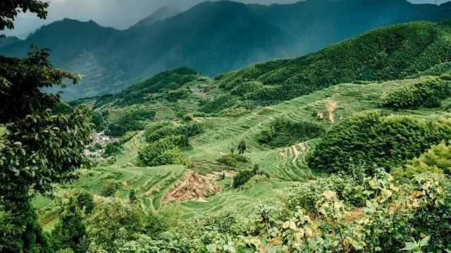 滚烫的地，敬业的心