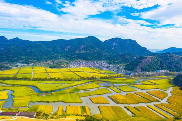 浙江富阳：稻乡渔山再绘共富新“丰景”