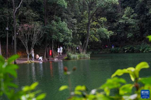 重庆缙云山：城市“绿肺”又回来了