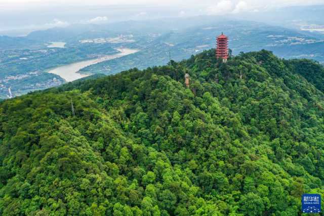 重庆缙云山：城市“绿肺”又回来了