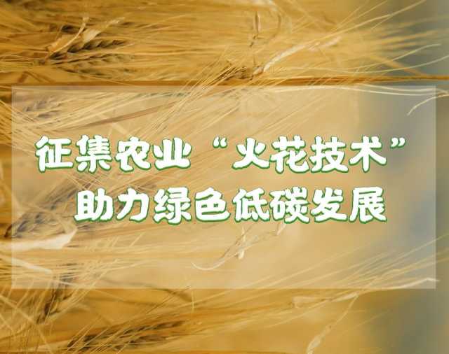 农业部启动“火花技术”征集！绿色低碳“火花”何以燎原大地？