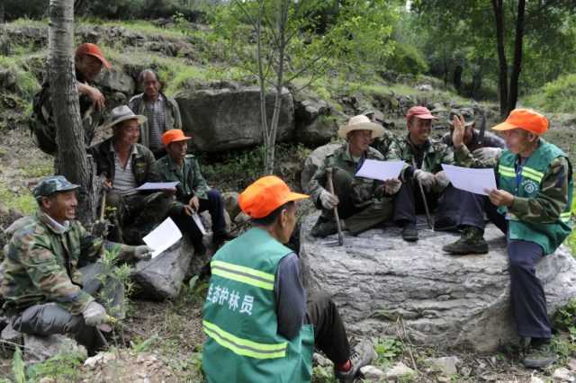 建立健全乡村生态护林网络！全国林业站“十四五”方案印发