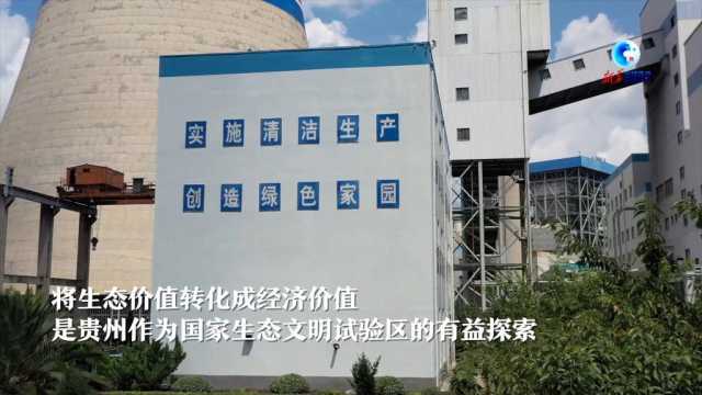 全球连线丨“种树卖空气”帮助中国西南山区“美丽生态”变“美丽经济”