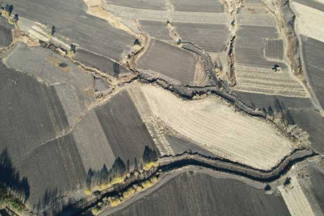 东北黑土地秋收一线：保护好“耕地中的大熊猫”