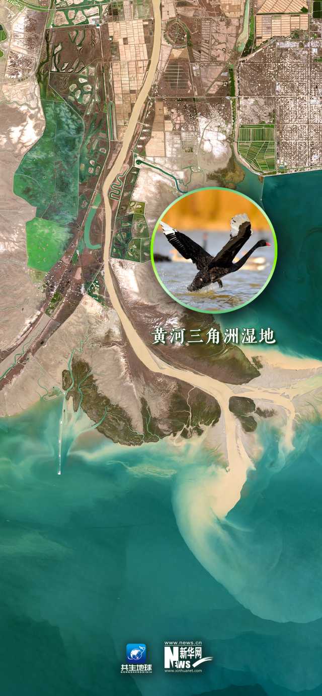 卫星“瞰”湿地，颜值与实力并存