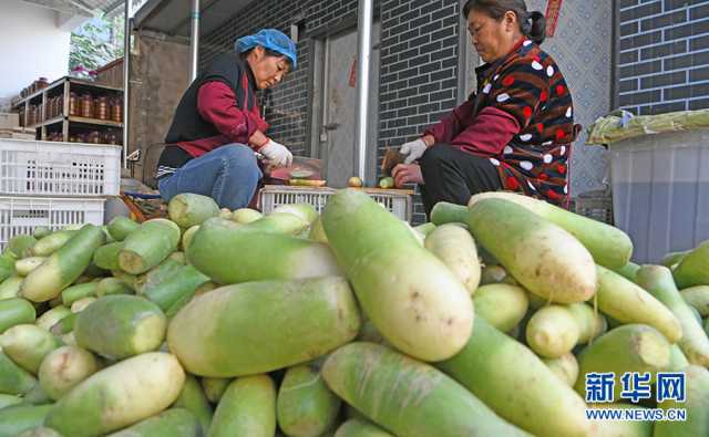 农村电商捎来“家乡味”