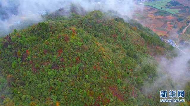 【“飞阅”中国】鄂西山村 烟雨画卷