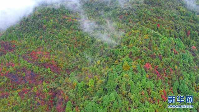 【“飞阅”中国】鄂西山村 烟雨画卷