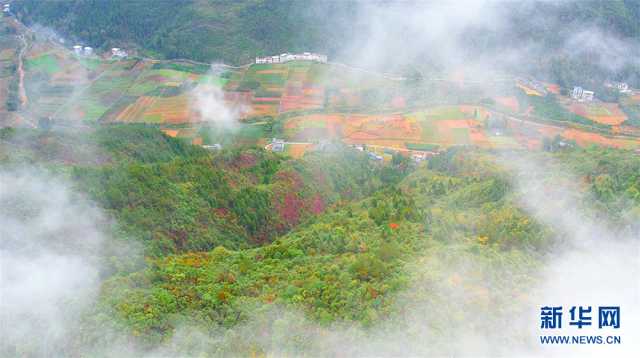 【“飞阅”中国】鄂西山村 烟雨画卷