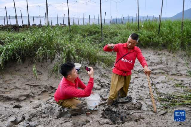 鱼丰景美海常蓝——福建“耕海牧渔”新气象