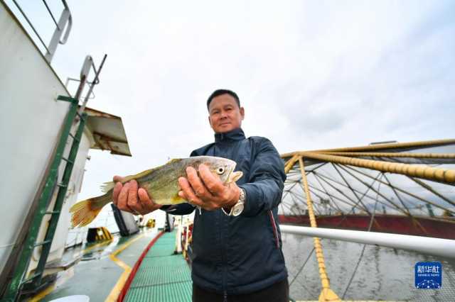 鱼丰景美海常蓝——福建“耕海牧渔”新气象