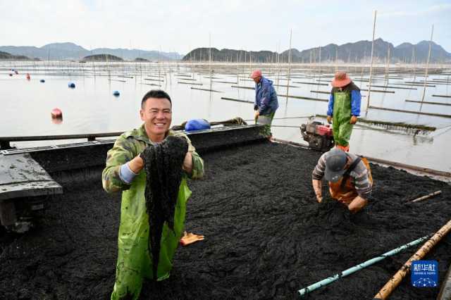 鱼丰景美海常蓝——福建“耕海牧渔”新气象